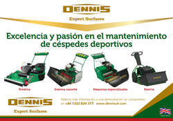 Dennis Expert Surfaces
